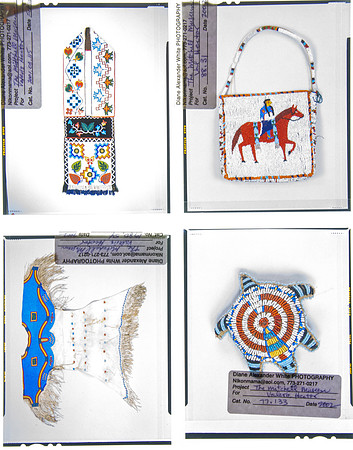 Lens of Inquiry: Diane Alexander White’s 4×5 Transparencies of Field Museum Science Collections