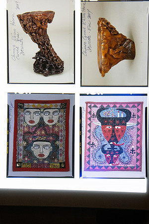 Lens of Inquiry: Diane Alexander White’s 4×5 Transparencies of Field Museum Science Collections