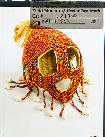 Lens of Inquiry: Diane Alexander White’s 4×5 Transparencies of Field Museum Science Collections