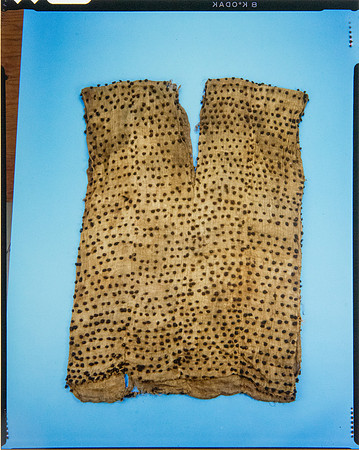 Lens of Inquiry: Diane Alexander White’s 4×5 Transparencies of Field Museum Science Collections