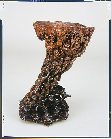 Lens of Inquiry: Diane Alexander White’s 4×5 Transparencies of Field Museum Science Collections