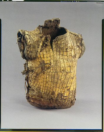 Lens of Inquiry: Diane Alexander White’s 4×5 Transparencies of Field Museum Science Collections