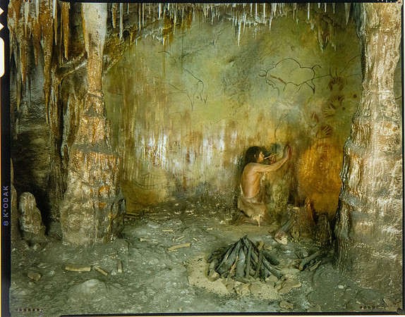 Lens of Inquiry: Diane Alexander White’s 4×5 Transparencies of Field Museum Science Collections