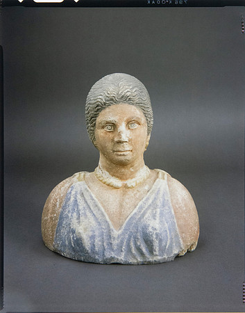 Lens of Inquiry: Diane Alexander White’s 4×5 Transparencies of Field Museum Science Collections
