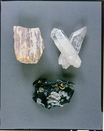 Lens of Inquiry: Diane Alexander White’s 4×5 Transparencies of Field Museum Science Collections
