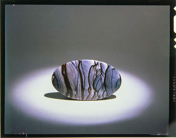 Lens of Inquiry: Diane Alexander White’s 4×5 Transparencies of Field Museum Science Collections