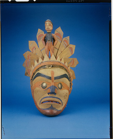 Lens of Inquiry: Diane Alexander White’s 4×5 Transparencies of Field Museum Science Collections