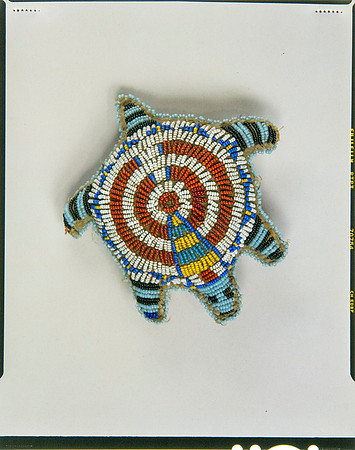 Lens of Inquiry: Diane Alexander White’s 4×5 Transparencies of Field Museum Science Collections