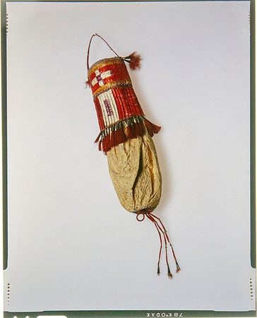 Lens of Inquiry: Diane Alexander White’s 4×5 Transparencies of Field Museum Science Collections