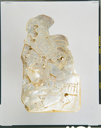 Lens of Inquiry: Diane Alexander White’s 4×5 Transparencies of Field Museum Science Collections