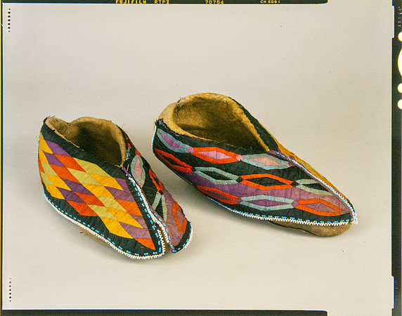 Lens of Inquiry: Diane Alexander White’s 4×5 Transparencies of Field Museum Science Collections