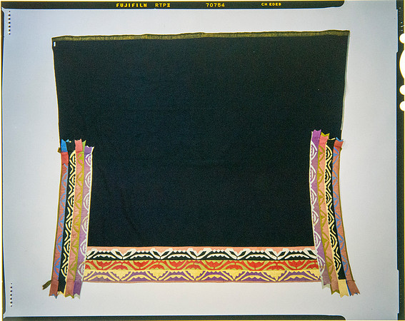 Lens of Inquiry: Diane Alexander White’s 4×5 Transparencies of Field Museum Science Collections