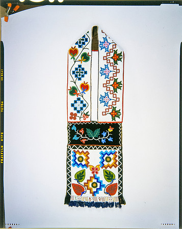 Lens of Inquiry: Diane Alexander White’s 4×5 Transparencies of Field Museum Science Collections