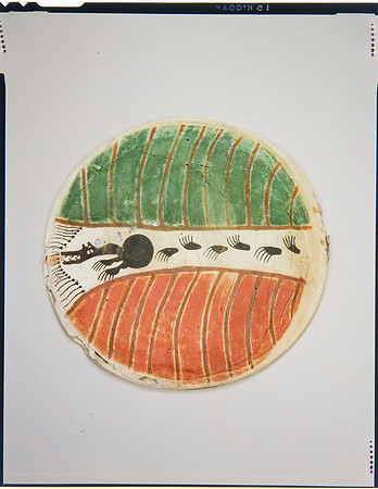 Lens of Inquiry: Diane Alexander White’s 4×5 Transparencies of Field Museum Science Collections