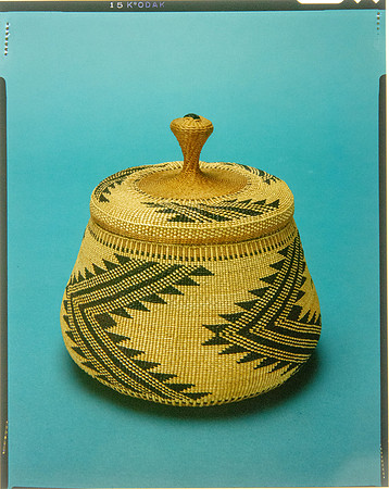 Lens of Inquiry: Diane Alexander White’s 4×5 Transparencies of Field Museum Science Collections