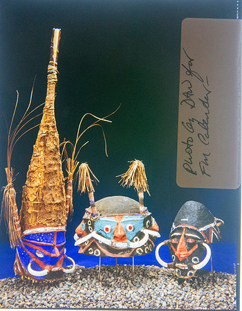 Lens of Inquiry: Diane Alexander White’s 4×5 Transparencies of Field Museum Science Collections