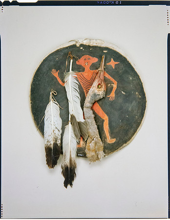 Lens of Inquiry: Diane Alexander White’s 4×5 Transparencies of Field Museum Science Collections