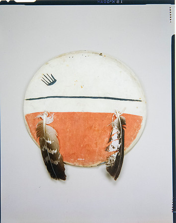 Lens of Inquiry: Diane Alexander White’s 4×5 Transparencies of Field Museum Science Collections