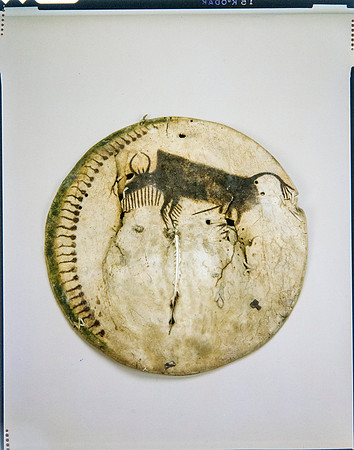Lens of Inquiry: Diane Alexander White’s 4×5 Transparencies of Field Museum Science Collections