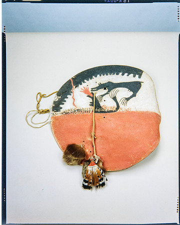 Lens of Inquiry: Diane Alexander White’s 4×5 Transparencies of Field Museum Science Collections
