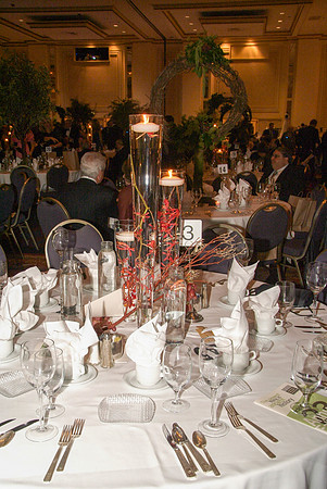 NATIONAL HELLENIC MUSEUM 2010 GALA_0070