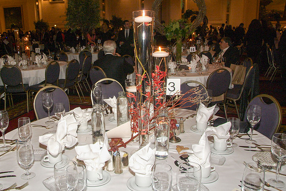 NATIONAL HELLENIC MUSEUM 2010 GALA_0071