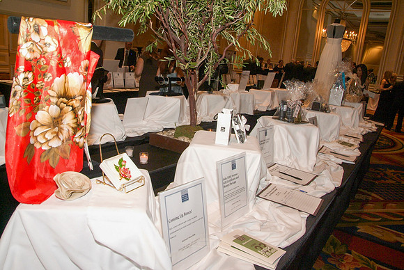 NATIONAL HELLENIC MUSEUM 2010 GALA_0080