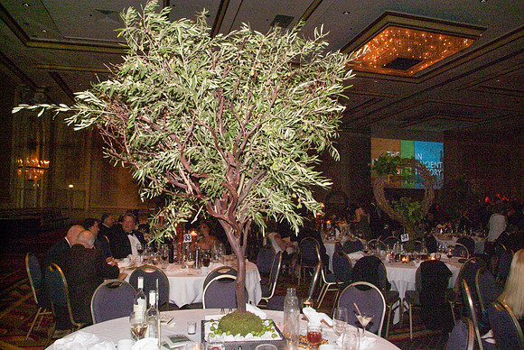 NATIONAL HELLENIC MUSEUM 2010 GALA_0177