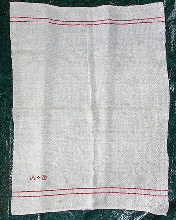 DIANE ALEXANDER WHITE TEXTILE COLLECTION (45)