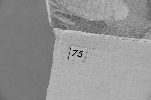 GATHER TOGETHER- NHM 2022-26 (52)