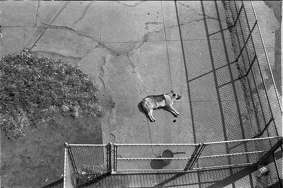__7900 S. SAGINAW KIDS, CHICAGO 1974_16