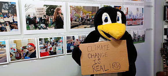 Chicago Center for Photojournalism IN PROTEST EXHIBIT OCTOBER 2024+ (3)