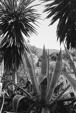 CORFU GR 1977 BW VERSION FILM_016