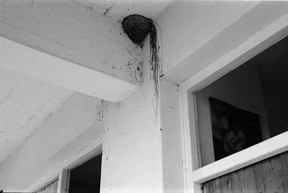 CORFU GR 1977 BW VERSION FILM_019