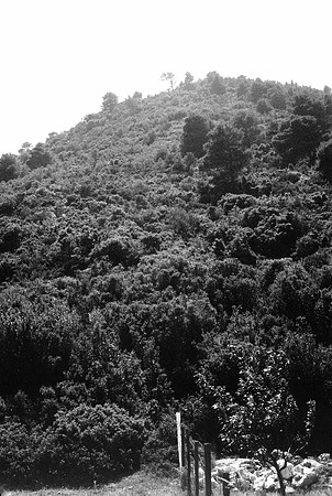 ATHENS, SKOPELOS BW VERSION 1977_014-2