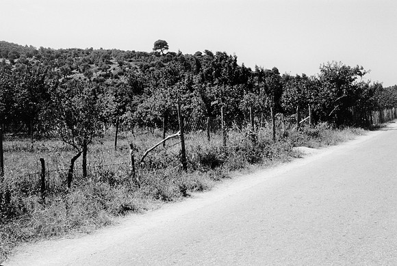 ATHENS, SKOPELOS BW VERSION 1977_016-2