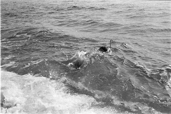 CORFU GR, EFFIE'S FAMILY 1977_06A
