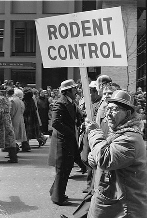 ST. PATRICK'S DAY PARADE 1981_32