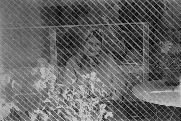 OLD HALSTED STREET,TAKIS, NO LOITERING 1975_006