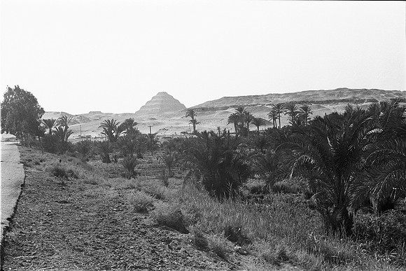1977_SAQQARA, GIZA, CAIRO  EGYPT  1977_028 (3)