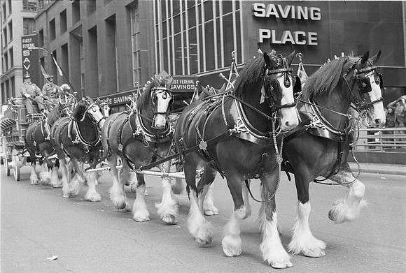 ST. PATRICK'S DAY PARADE 1981_19