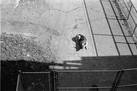 __7900 S. SAGINAW KIDS, CHICAGO 1974_17