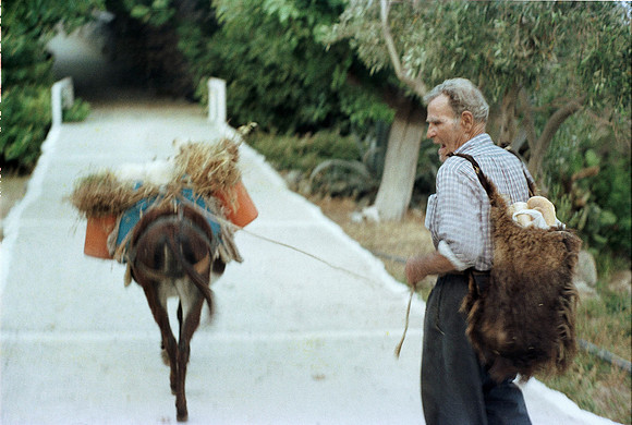 ROLL 4 HONEYMOON, MANGANNITTI AT AVGERI'S HOUSE GR 1983_13