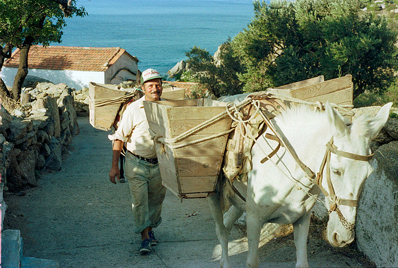 ROLL 5 MANGANNITTI YALO AGIO KYRIKO IKARIA GR 1983_01
