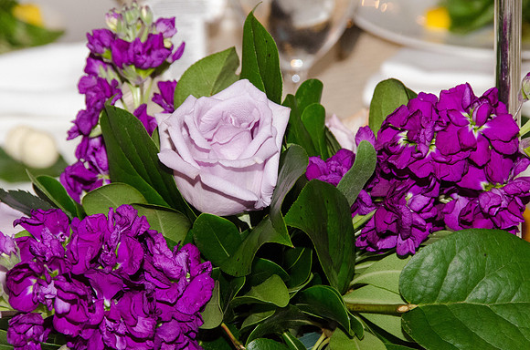 EFHC_2015 ANNUAL LUNCHEON_010
