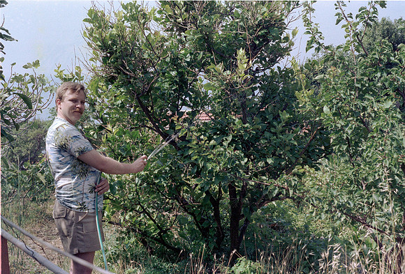 ROLL 3 HONEYMOON, MANGANNITTI GR 1983_08