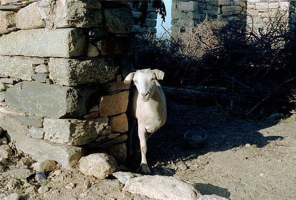 ROLL 5 MANGANNITTI YALO AGIO KYRIKO IKARIA GR 1983_04