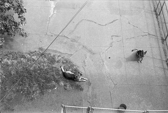 __7900 S. SAGINAW KIDS, CHICAGO 1974_15