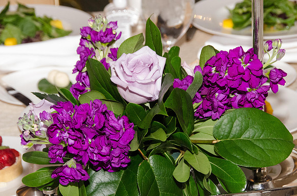 EFHC_2015 ANNUAL LUNCHEON_011