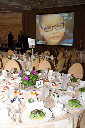 EFHC_2015 ANNUAL LUNCHEON_009